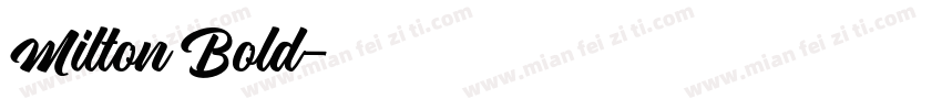 Milton Bold字体转换